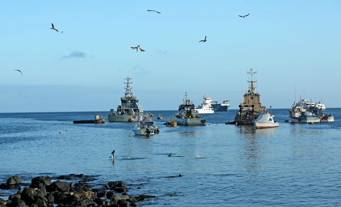 Frota pesqueira chinesa ameaça vida selvagem das Ilhas Galápagos