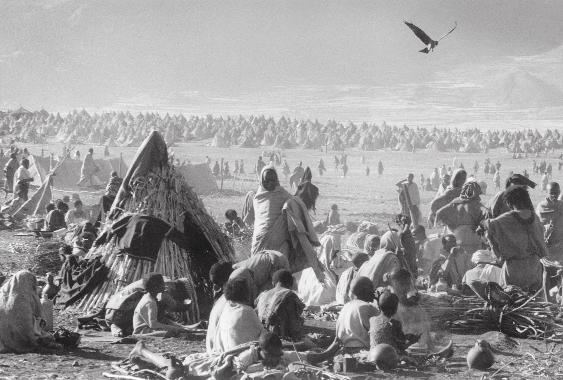 Los campos de refugiados de Korem y Bathi. La peor hambruna que azotó al país en un siglo, afectó a 7.75 millones de personas, dejó aproximadamente entre 300 mil y 122 millones de muertos.