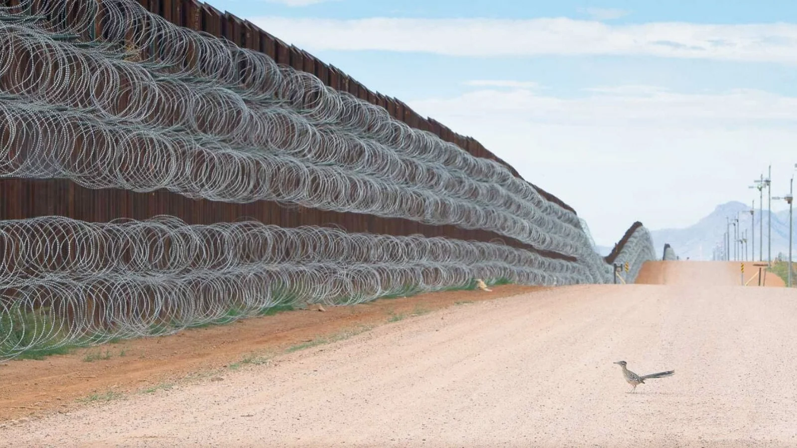 The border wall between the United States and Mexico prevents the passage of a road runner.