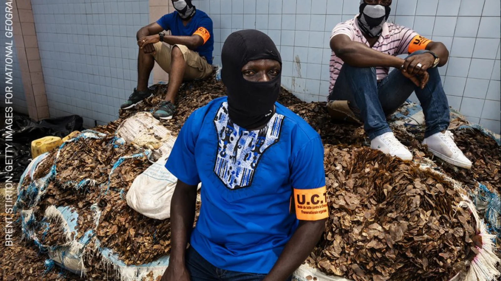 Miembros de la Unidad de Delincuencia Organizada Transnacional de Costa de Marfil se sientan con una reciente confiscación de 3,600 kg de escamas de pangolín en el estacionamiento de sus oficinas.