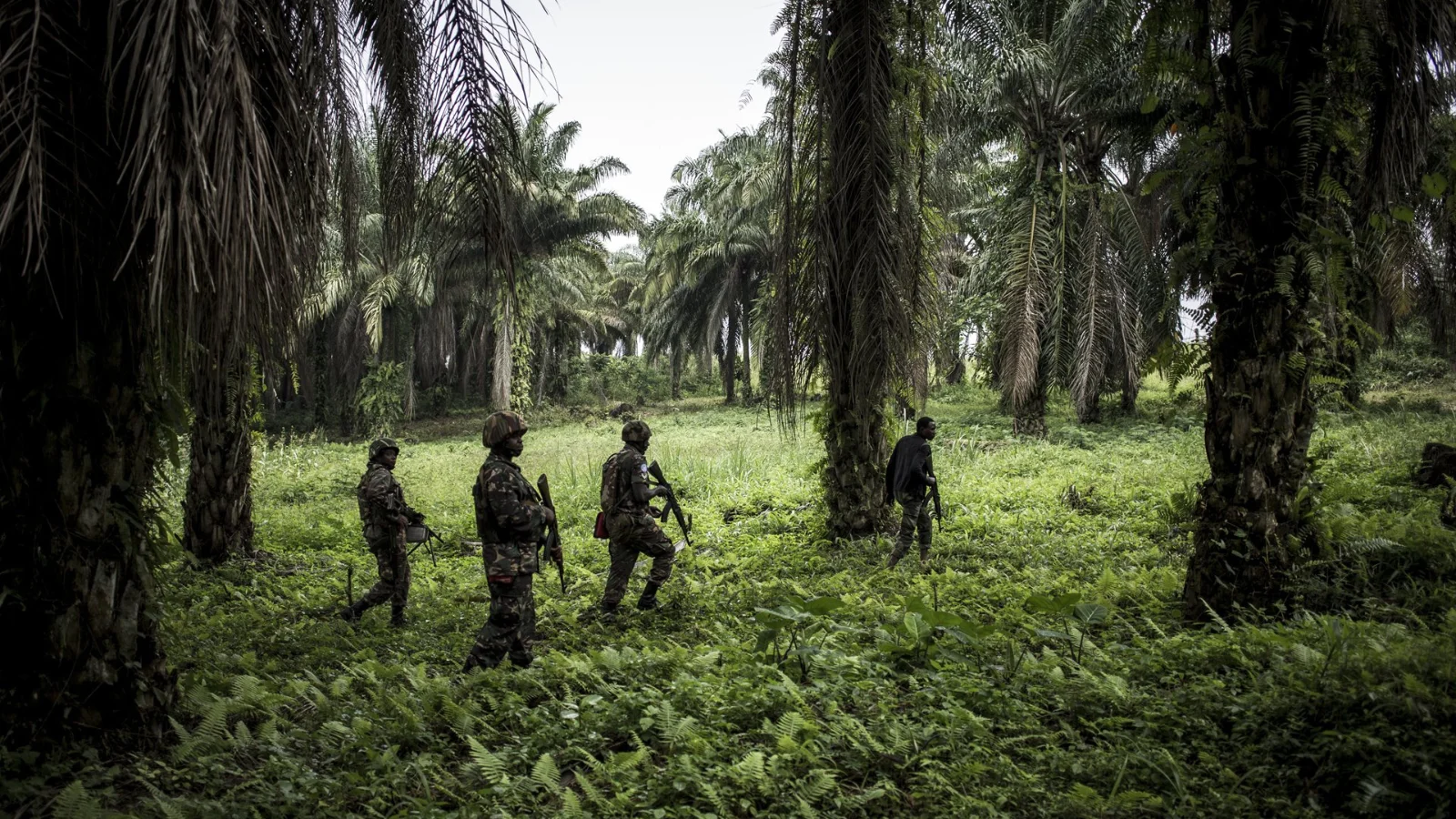MONUSCO soldiers patrol against the ADF, an Islamist group of Ugandan origin.