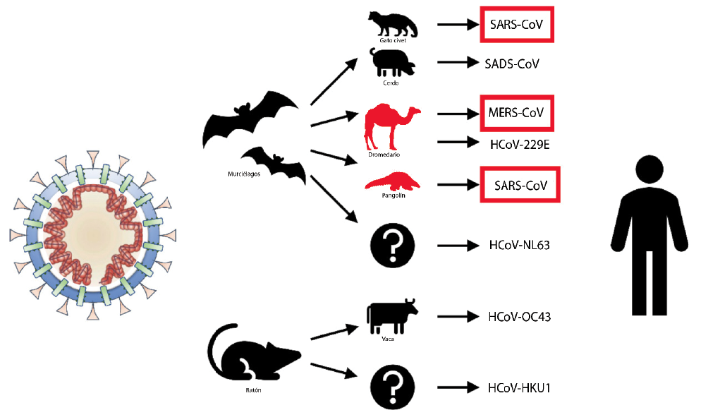 (images/zoonotic-disease-Cemeri.png) 