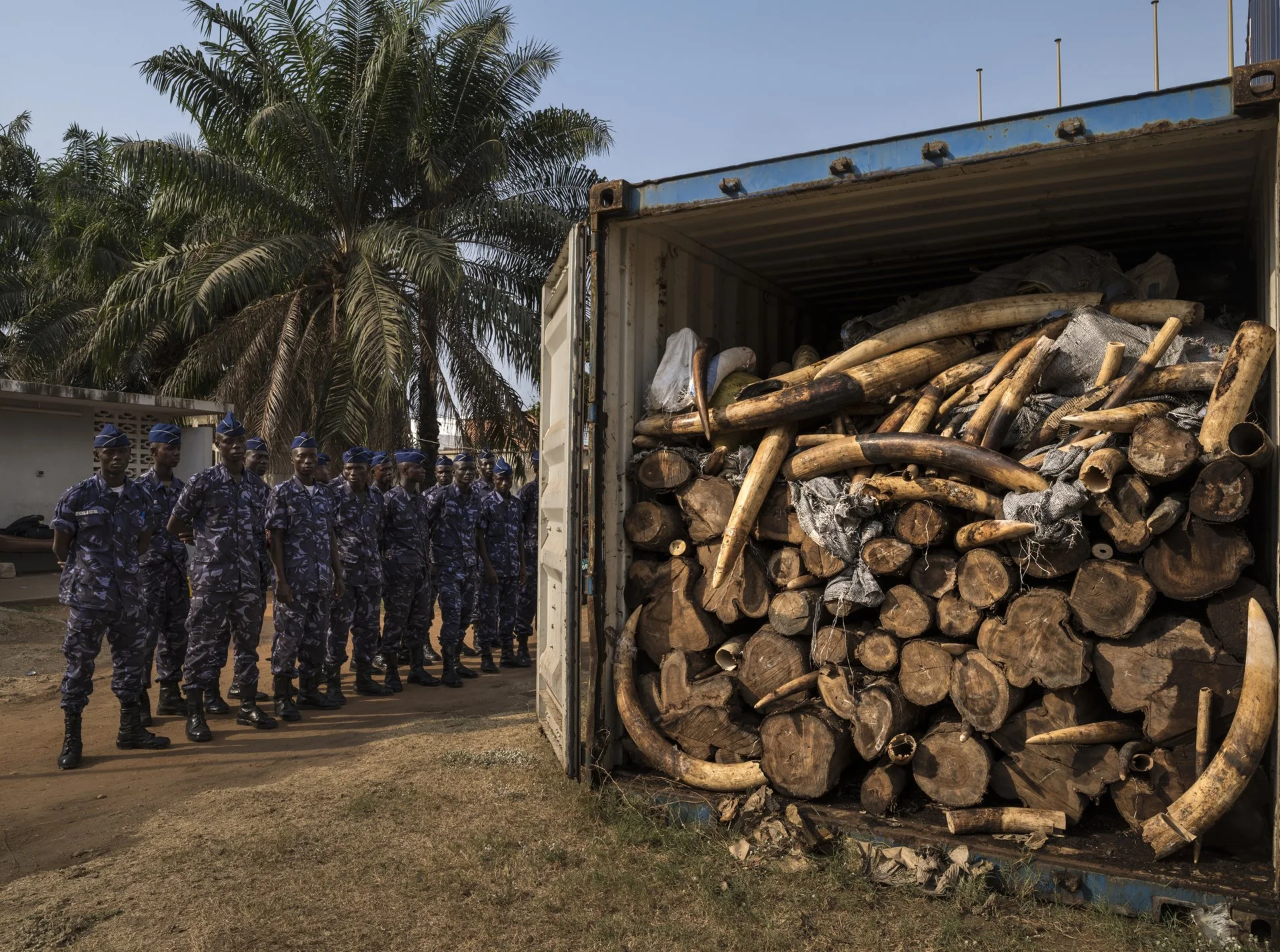 Un contenedor de envío permanece abierto en el puerto de Lomé, Togo, luego de que los funcionarios de aduanas incautaran cuatro toneladas de marfil ilegal.